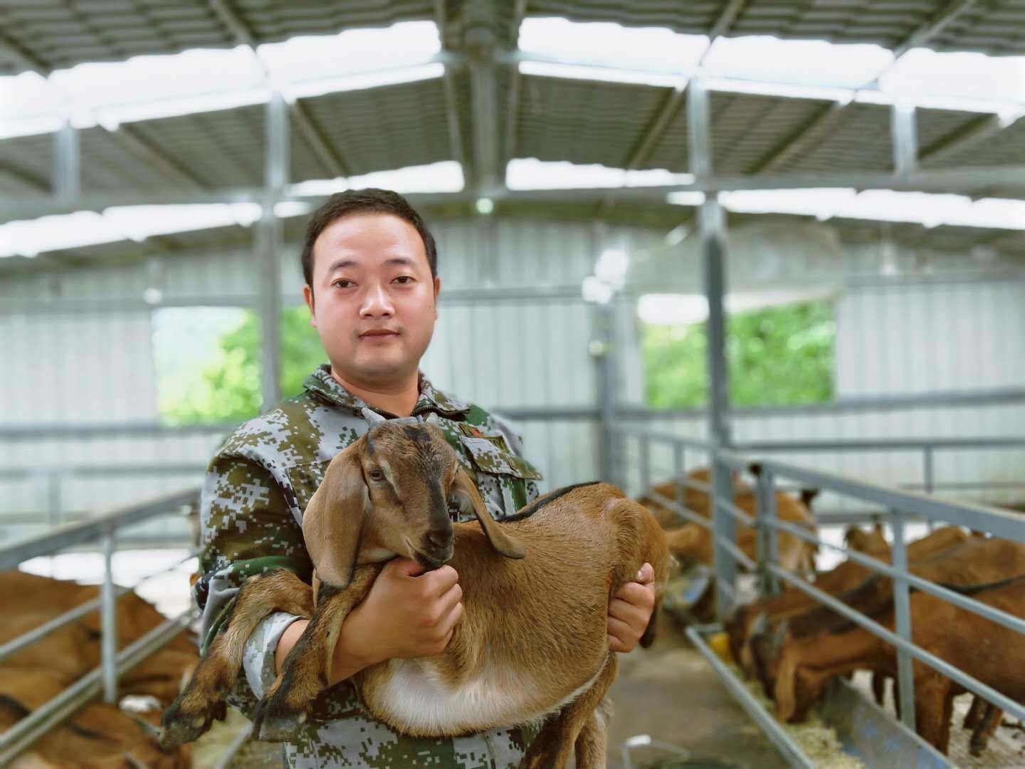念羊经、发羊财 小畜牧成就大产业